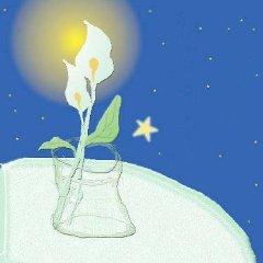 说球帝