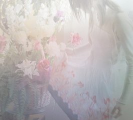 说球帝