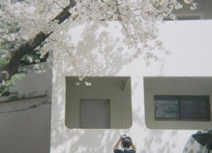 说球帝