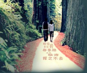 说球帝