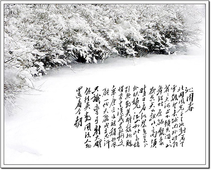说球帝