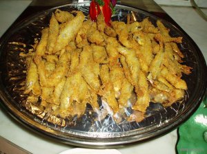 说球帝
