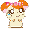 说球帝