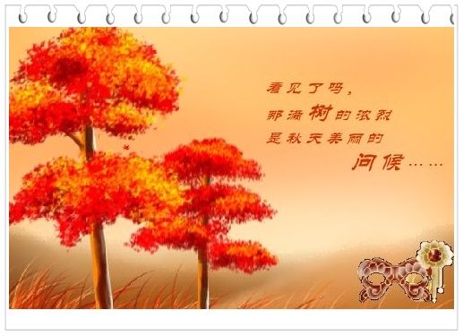 说球帝