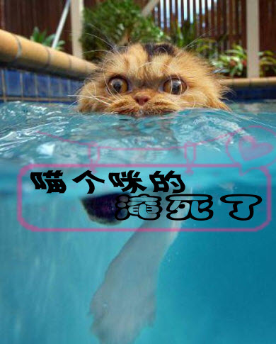 说球帝